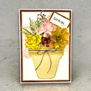 Sharon Callis Sensational Succulents - Merry Maiden