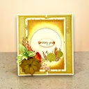 Sharon Callis Sensational Succulents - Neon Breaker