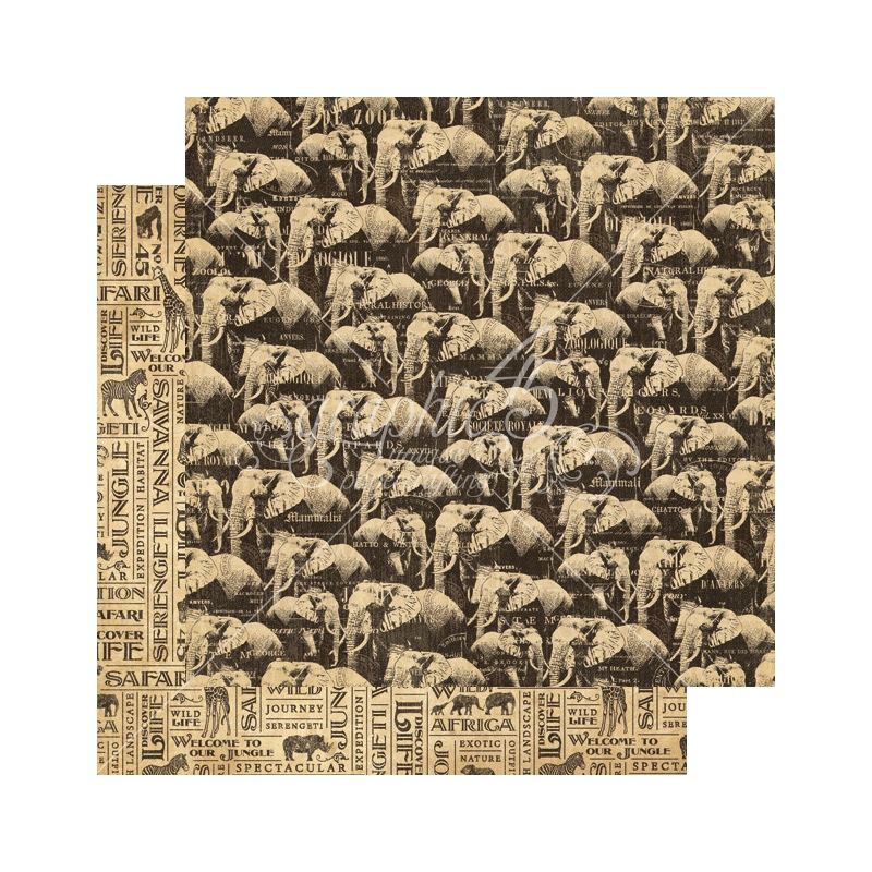 Graphic 45 - Safari - Great Migration 12"x12" Paper (x10 Sheets)