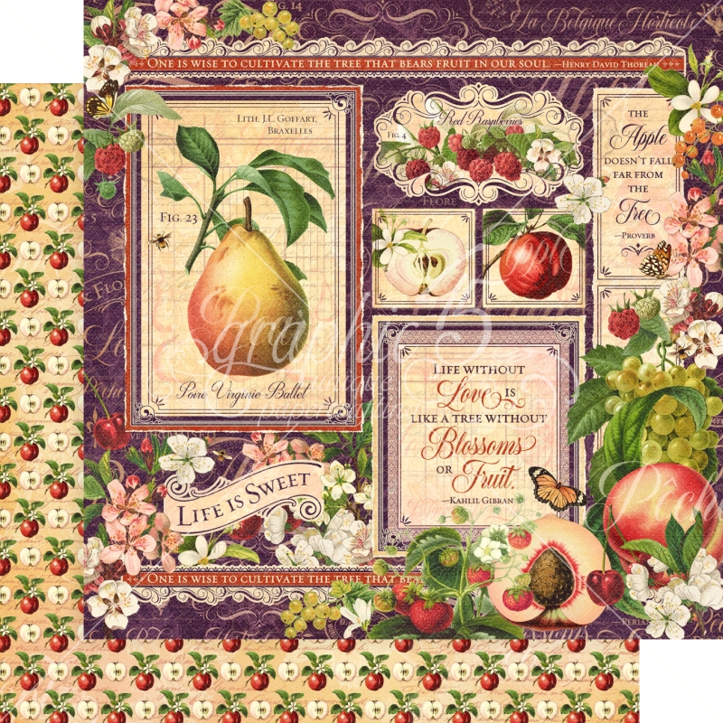 Graphic 45 - Fruit & Flora 12"x12" Paper (x5 Sheets)