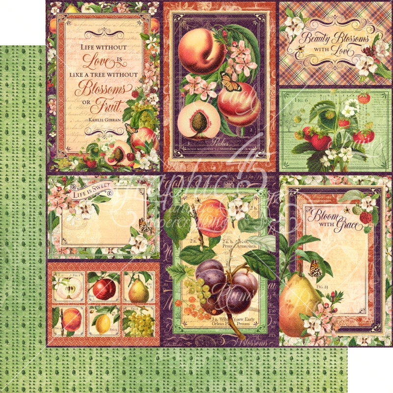 Graphic 45 - Fruit and Flora - Orchard Fresh 12"x12" Paper (x5 Sheets)