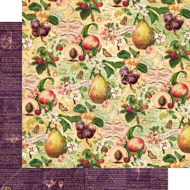 Graphic 45 - Fruit and Flora - Life is Sweet 12"x12" Paper (x5 Sheets)