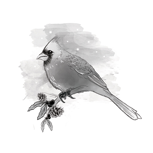 Spellbinders 3D Shading Cardinal Rubber Stamp