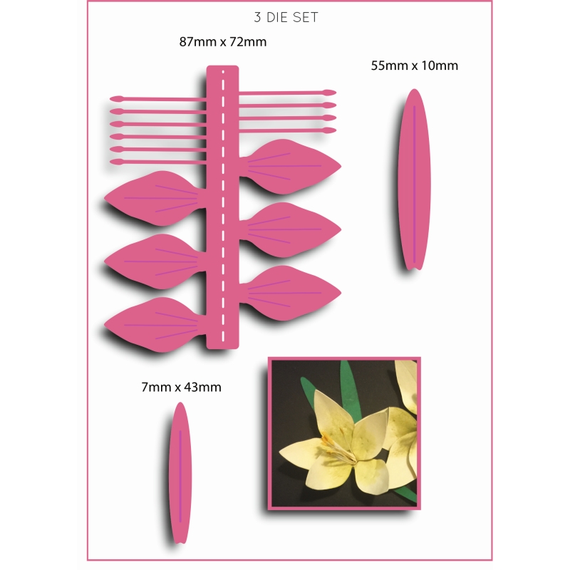 Sharon Callis Amaryllis (large) - Christmas Flowers & Foliage Collection