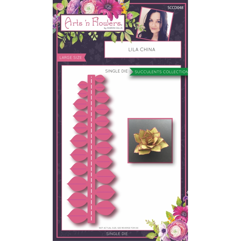 Sharon Callis Sensational Succulents - LILA CHINA