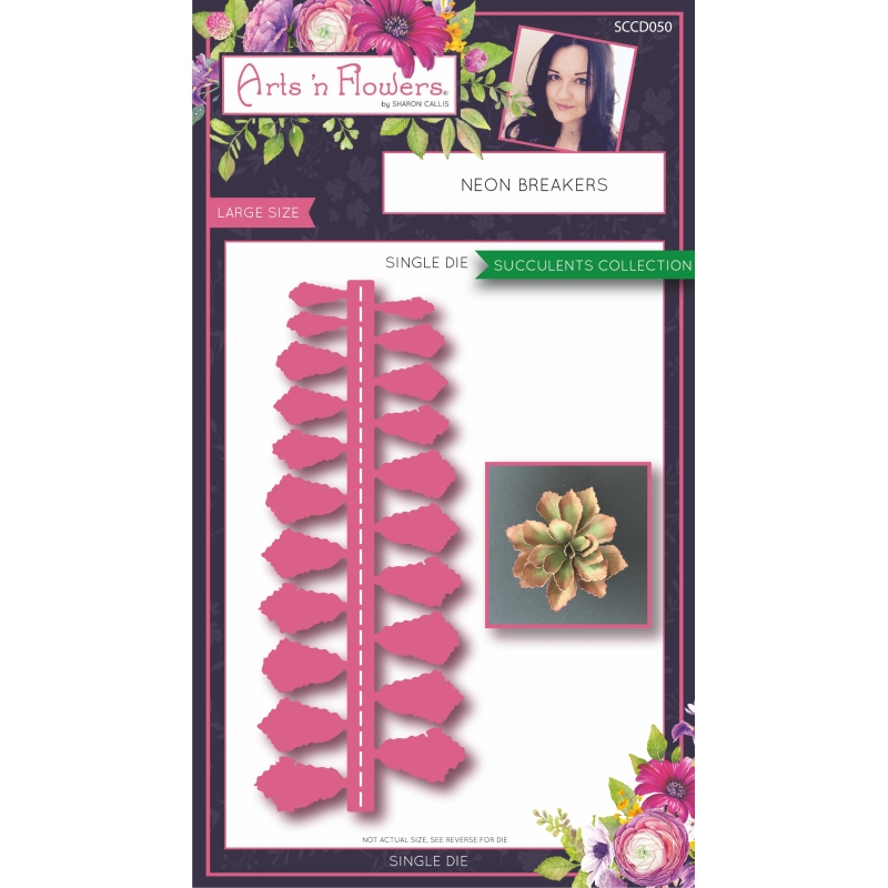 Sharon Callis Sensational Succulents - Neon Breakers
