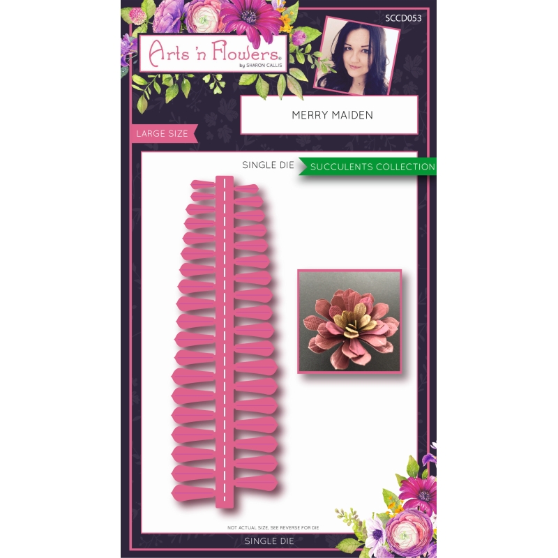 Sharon Callis Sensational Succulents - Merry Maiden