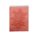 Watch the Leaves Change A6 Stamp Set