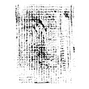 Spellbinders Seth Apter - Tattered Screen Rubber Stamp