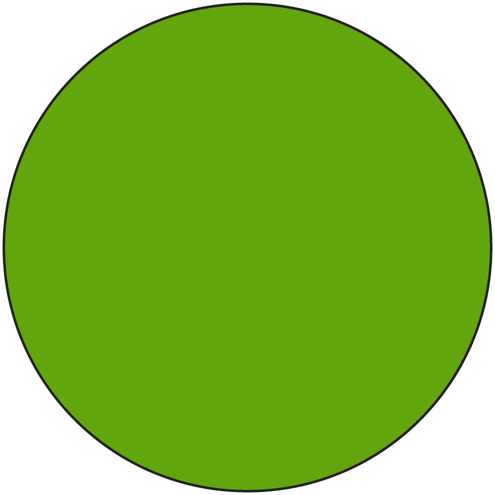 Ranger Liquid Pearls - Kiwi