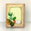 Sharon Callis Sensational Succulents - Sword Grass