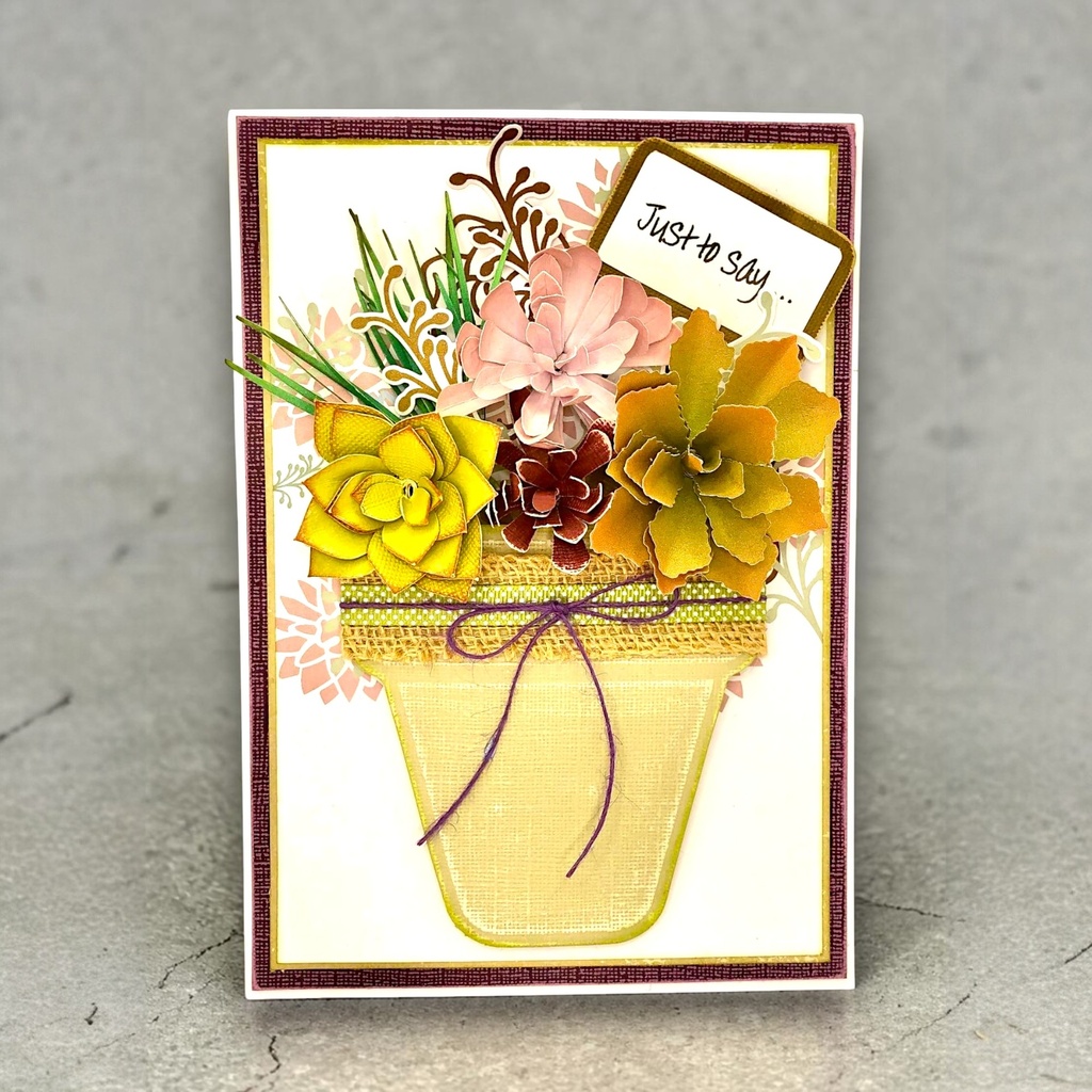 Sharon Callis Sensational Succulents - Sword Grass