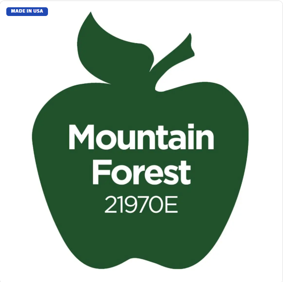 Apple Barrel Multi-Surface - Mountain Forest (2oz)