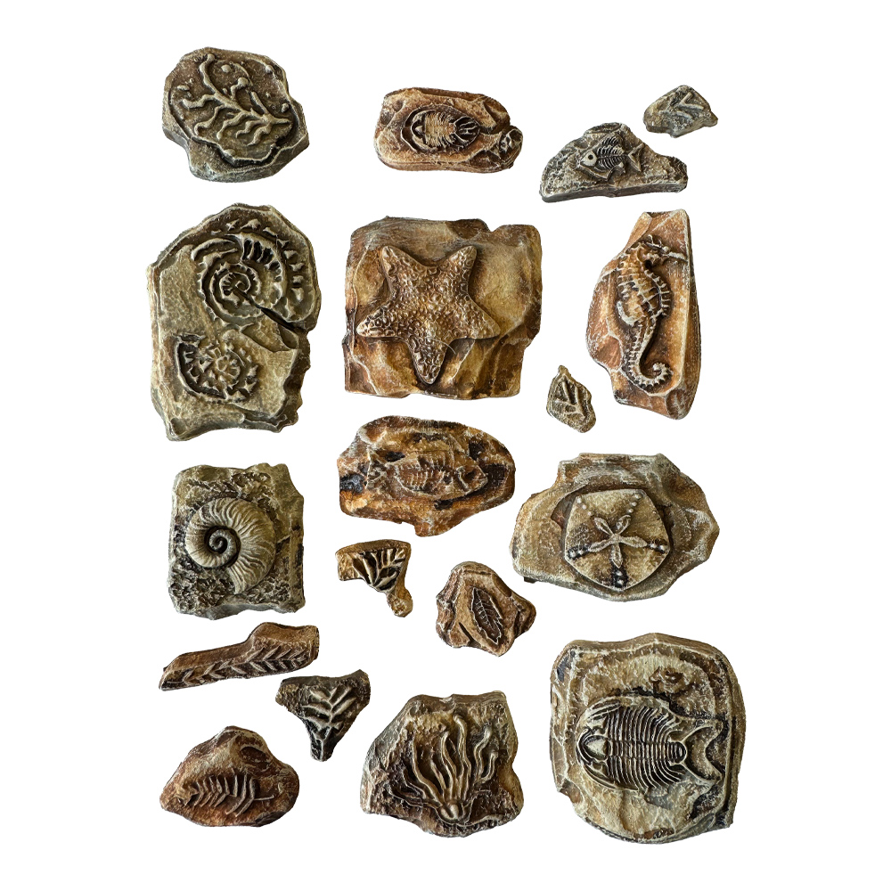 Soft Mould A5 - Silent Sea fossils