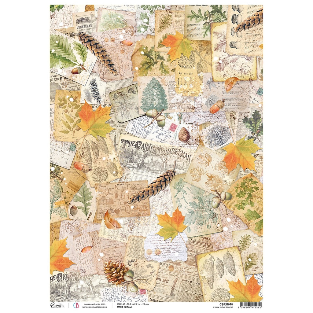 Ciao Bella Paper - A Walk In The Forest A3 rice paper (SINGLE SHEET)