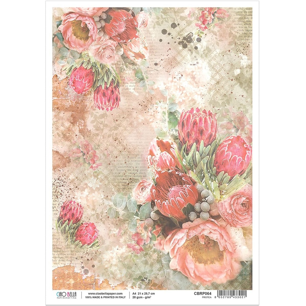Ciao Bella Paper - Protea -A4 rice paper (5 Pack)