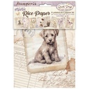 Stamperia - Quiet Days - A6 Mini Rice Paper Selection (8 designs)