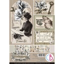  Ciao Bella Paper - Typographic - A4 Creative Pad 