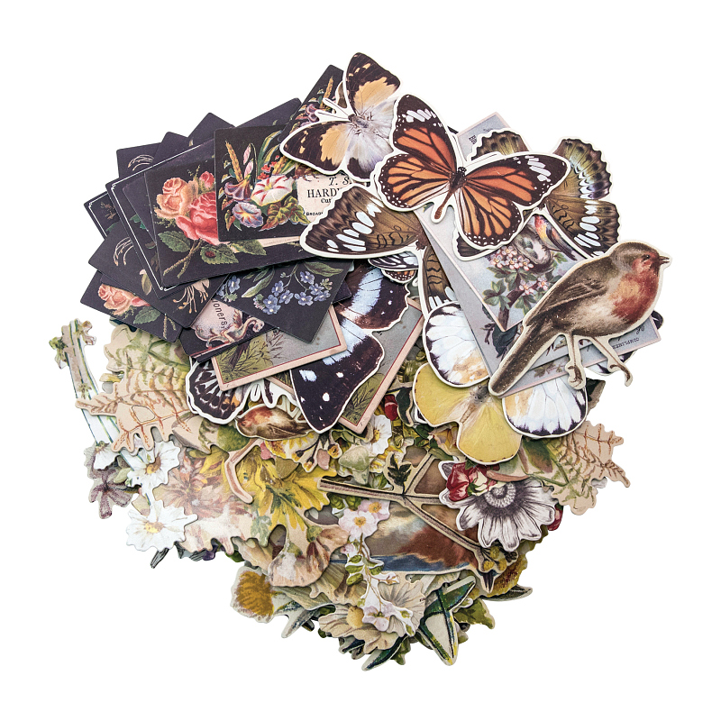 Tim Holtz Idea-ology - Botanical Layers