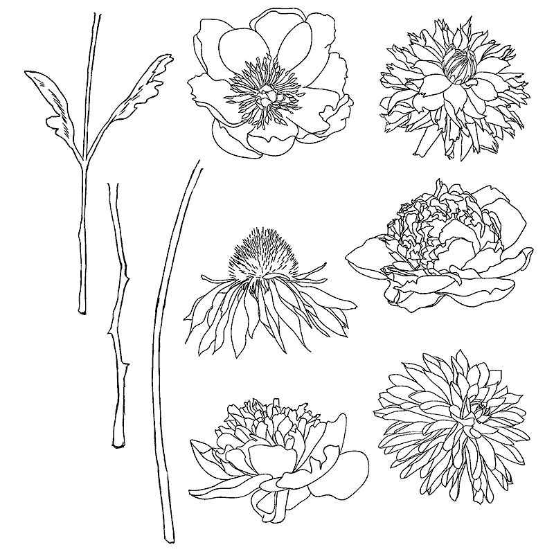 Tim Holtz - Stampers Anonymous Cling Stamps - Flower Garden