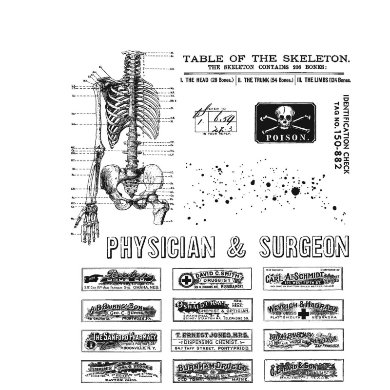 Tim Holtz - Stampers Anonymous Cling Stamps - Examination