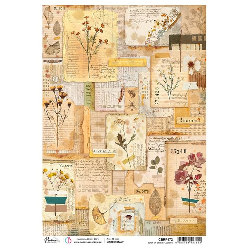 Ciao Bella Paper - Book Of Dried Flowers A4 rice paper (SINGLE Sheet)