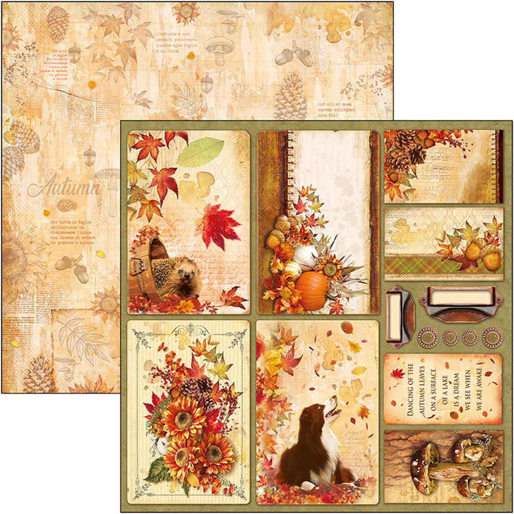 12"x12" Sheets x12 The Sound of Autumn Cards