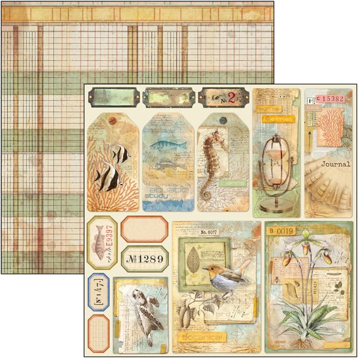 Ciao Bella Paper - Sign of the Times Tags 12"x12" (x12)