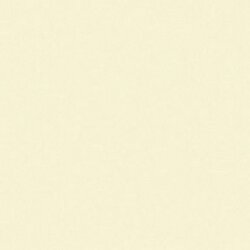 Antique White Crafters Acrylic 8Oz