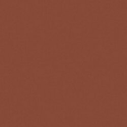 Burnt Sienna Crafters Acrylic 2oz