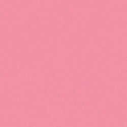 Wild Rose Pink Crafters Acrylic 2oz