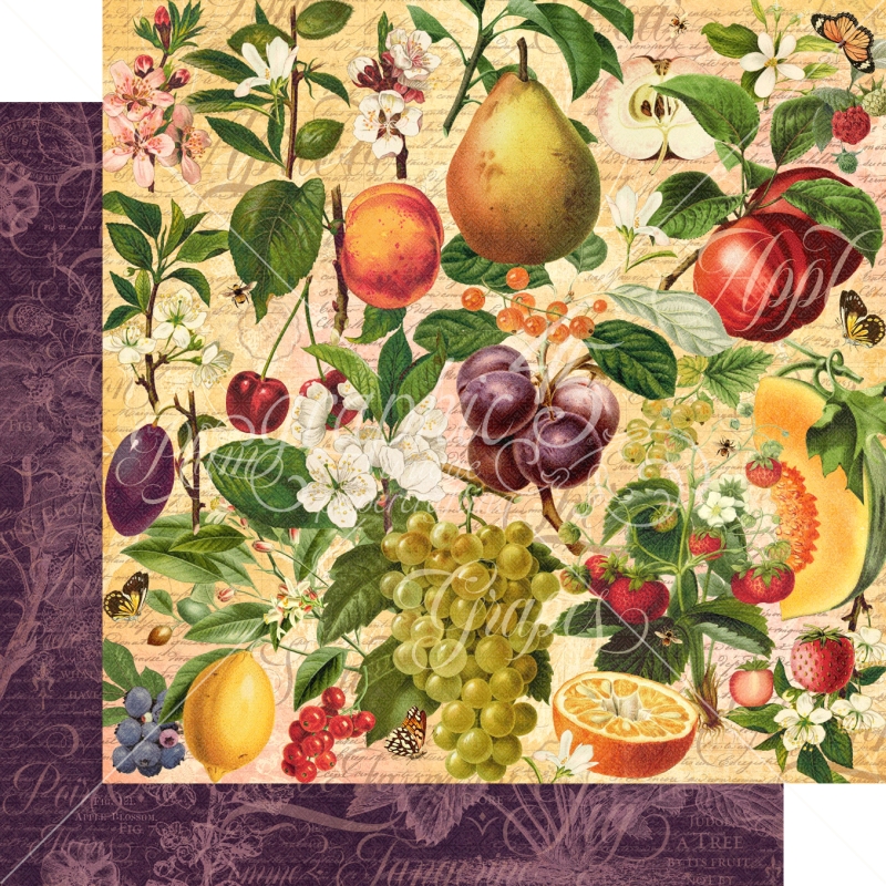 Graphic 45 - Fruit and Flora - Nature's Bounty 12"x12" Paper (x5 Sheets)