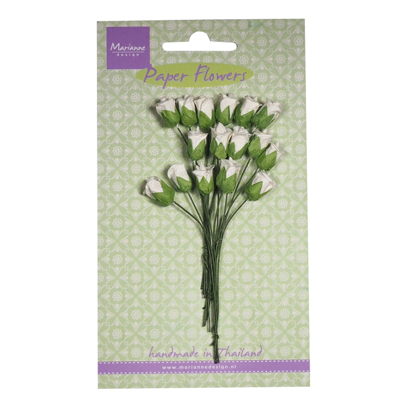 Roses bud - white