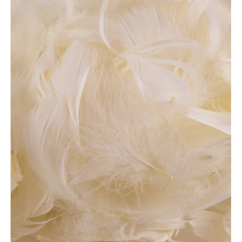 Feathers - Ivory -3"-5" 50g No.61