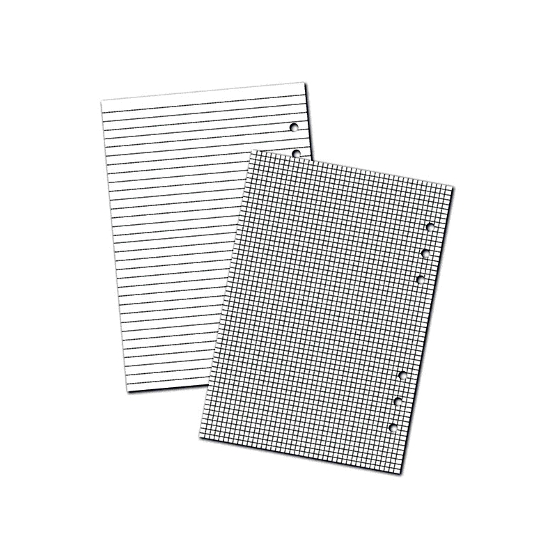 Planner Essentials Basic Inserts Sold in singles