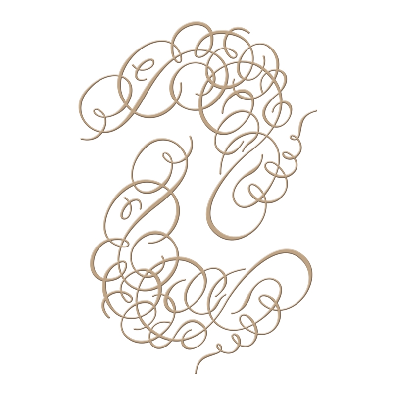 Spellbinders Glimmer Plate - Flourishes Frame 