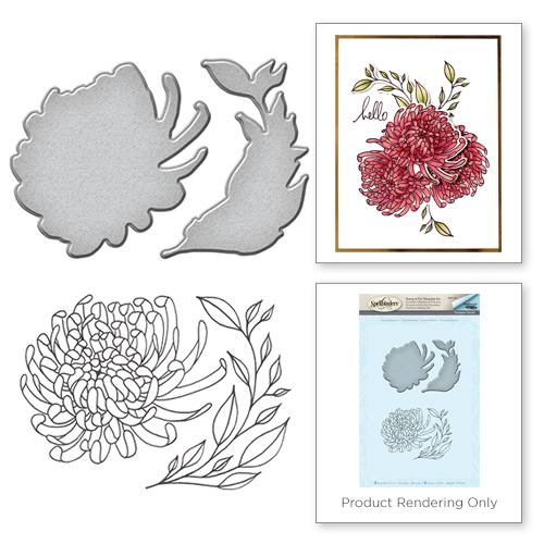Spellbinders Stamp & Die Set - Chrysanthemum