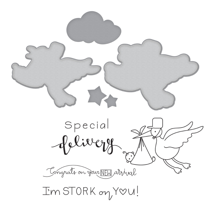 Spellbinders Stamp & Die Set - New Arrival