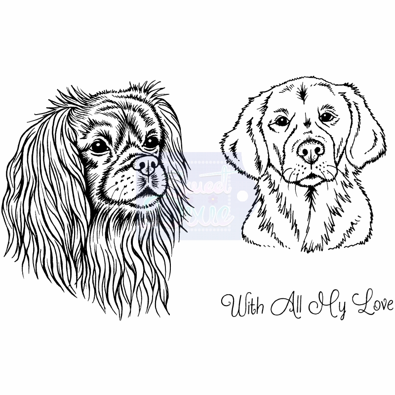 SD Cavalier King Charles Spaniel and Golden Retriever