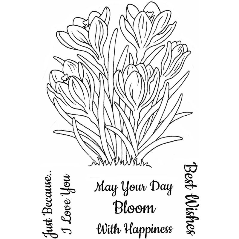 Sweet Dixie Crocuses