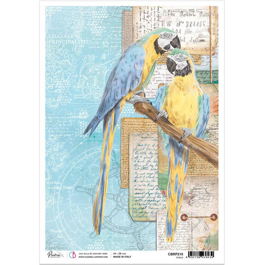 Ciao Bella Paper - Captain's Quarters A4 rice paper (SINGLE Sheet)