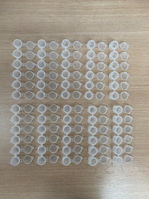 Empty Fillable Paint pots(6 x 1/8 Oz.)10 Pack