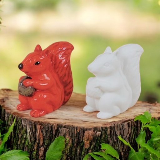 Smiley Cyril Squirrel Box Quantity 12