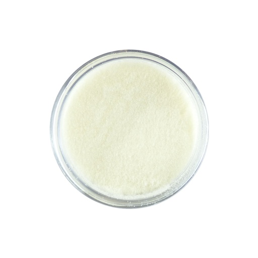 Sweet Dixie Embossing Powder - Crystal Clear High Gloss