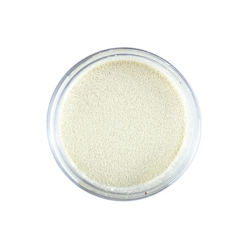Sweet Dixie Embossing Powder - White